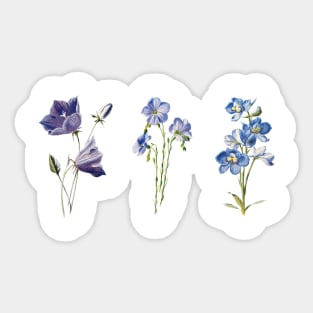 Blue/Purple Flowers Sticker